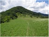 Ljubno ob Savinji - Planina Mali Travnik